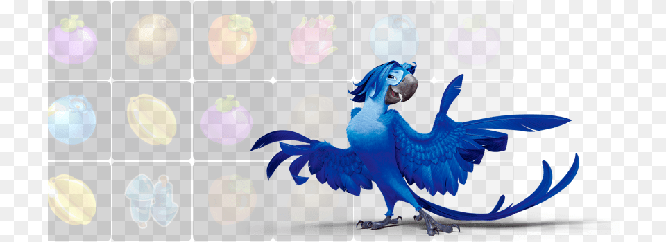 Rio Character, Sphere, Animal, Bird, Ball Free Png Download