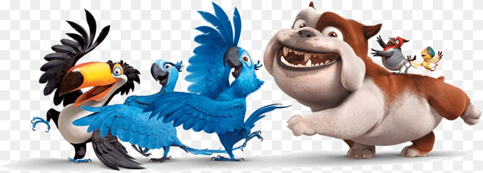 Rio Large Play As Ound Rio, Animal, Bird, Beak, Mammal Png