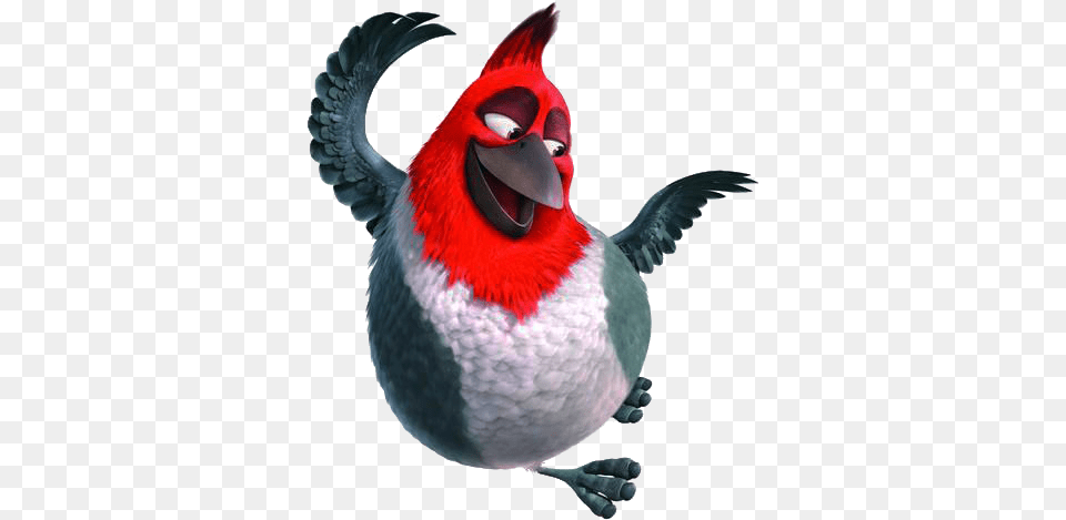 Rio Movie Red Bird Singing Clipart 2 Full In, Animal, Beak Free Png Download