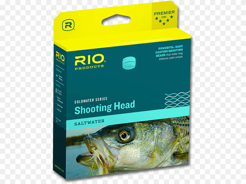 Rio Tropical Outbound Short, Animal, Fish, Sea Life Free Png