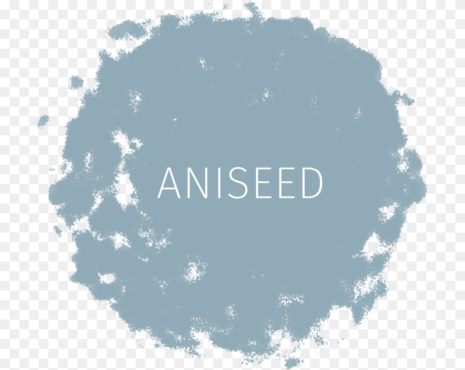 Rio Verde Aniseed Circle, Powder, Adult, Wedding, Person Free Png Download