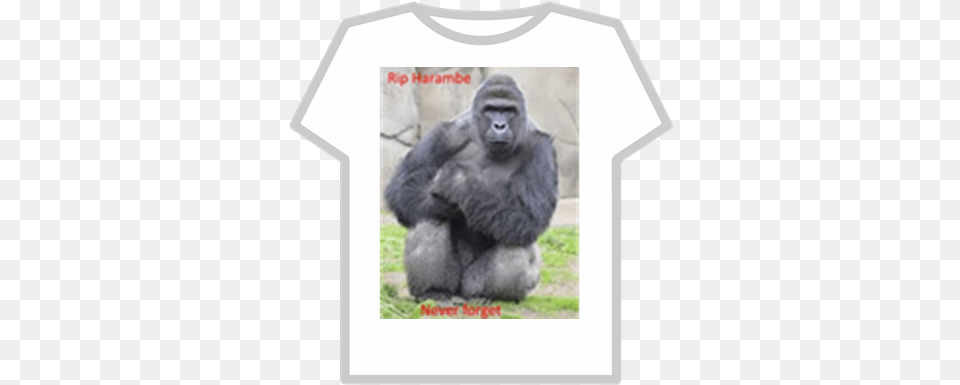 Rip Harambe Roblox Harambe Meme, Animal, Ape, Mammal, Wildlife Free Transparent Png