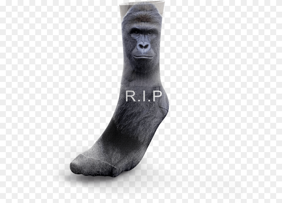 Rip Sock, Animal, Mammal, Monkey, Wildlife Png Image