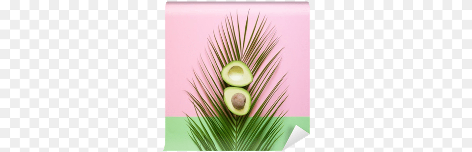 Ripe Avocado On Palm Leaf On A Colored Background Palmiye Yapra Hd Duvar Kad, Food, Fruit, Plant, Produce Free Png
