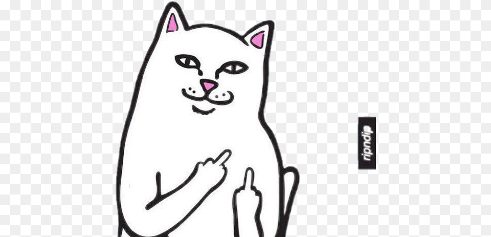 Ripndip Bad Cat Fuck You, Animal, Mammal, Pet Free Transparent Png