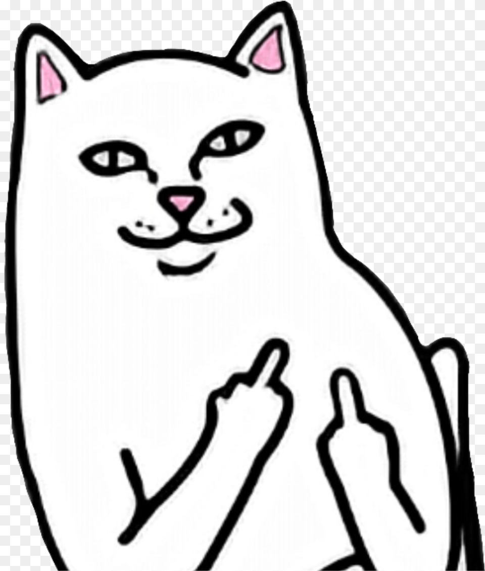 Ripndip Cat Fuck You, Animal, Mammal, Pet, Face Png Image