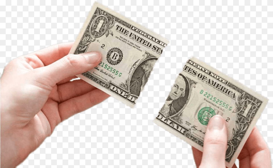Ripped Dollar Bill, Money, Adult, Wedding, Person Free Png