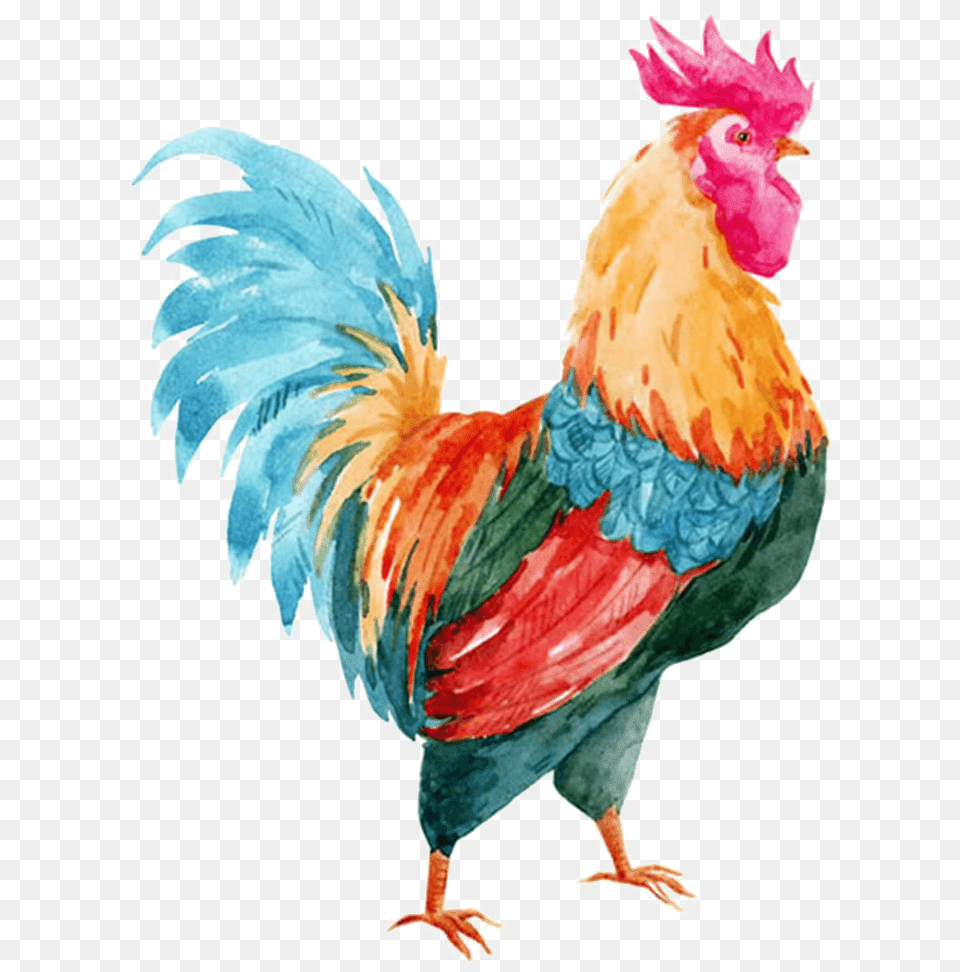 Rise And Shine Mother Cluckers, Animal, Bird, Chicken, Fowl Free Png Download