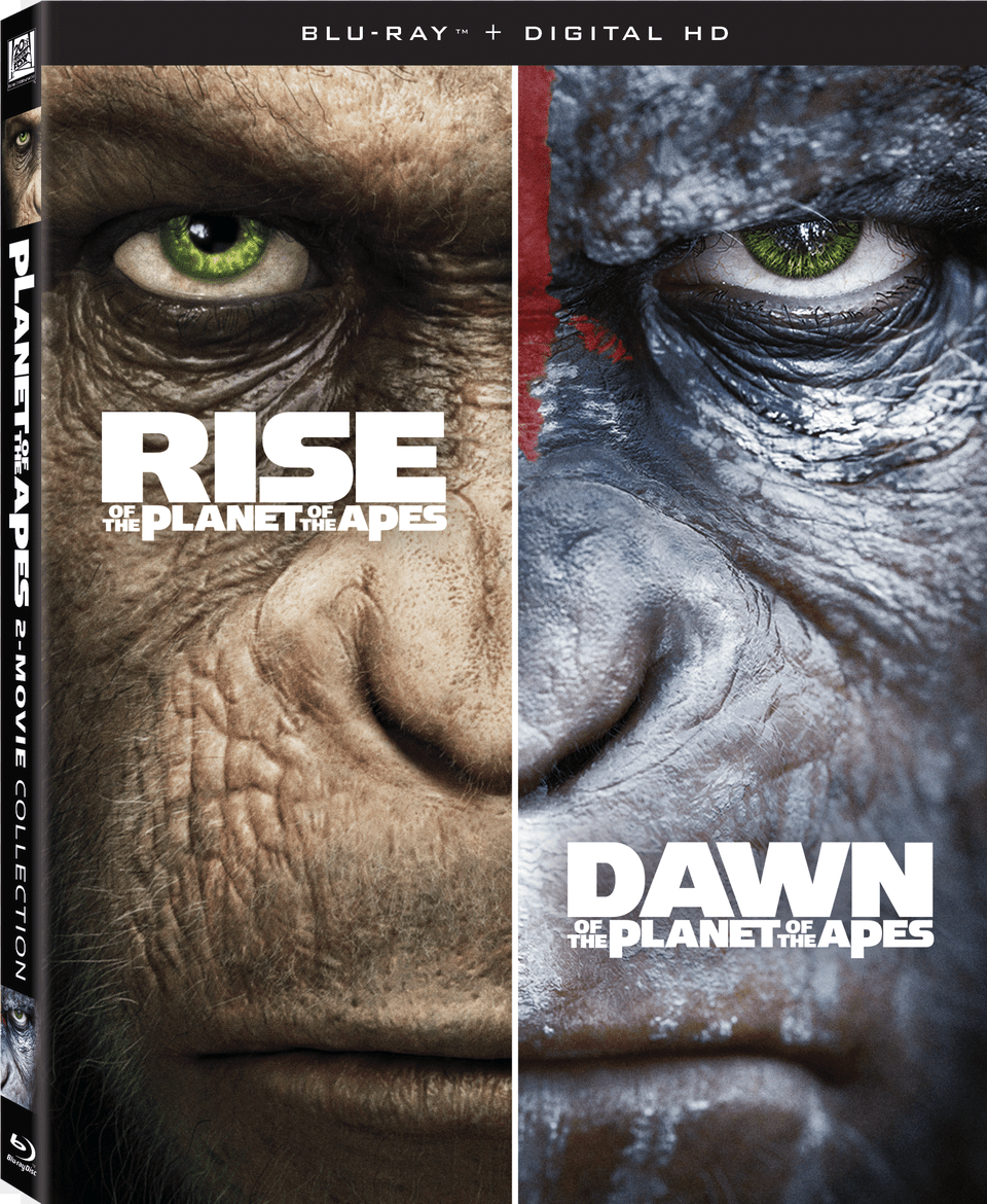Rise Of The Planet Of The Apes Blu Ray, Wildlife, Animal, Ape, Mammal Free Png Download