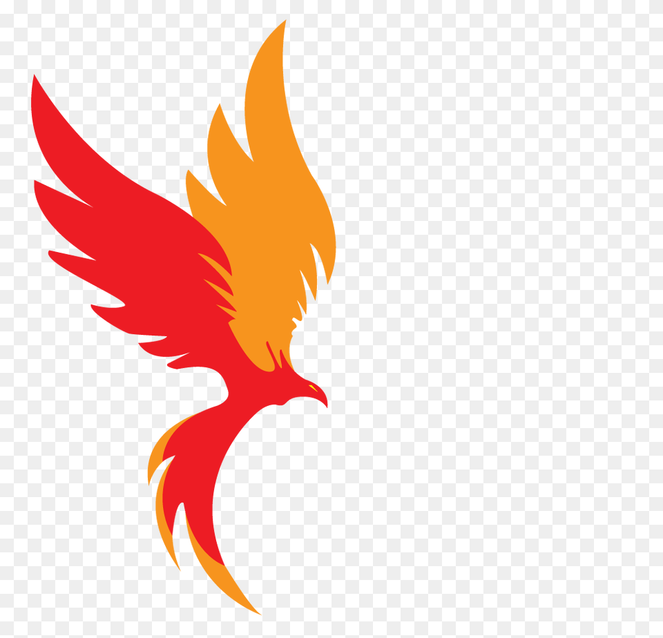 Rise Out The Water Like A Phoenix Png Image