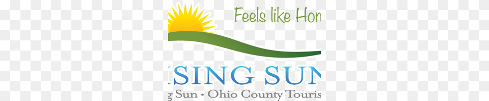Rising Sun Logo Image, Flower, Plant, Daisy, Herbal Png