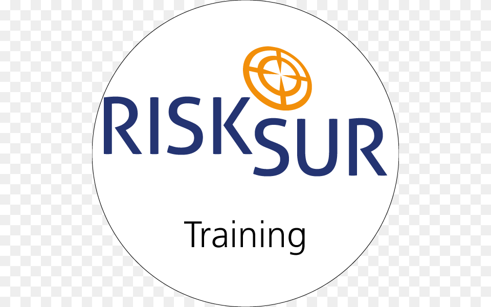 Risksur Training Modules Excelsior College Logo, Disk Png