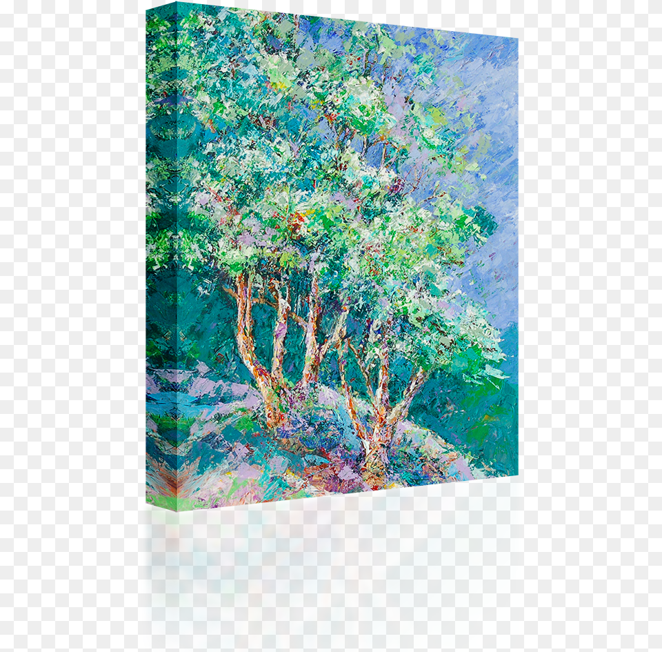 River Birch, Painting, Art, Canvas, Plant Png