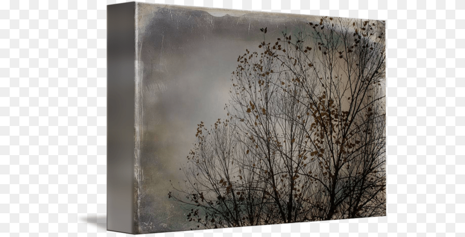 River Birch Wood, Nature, Outdoors, Weather, Fog Free Png Download