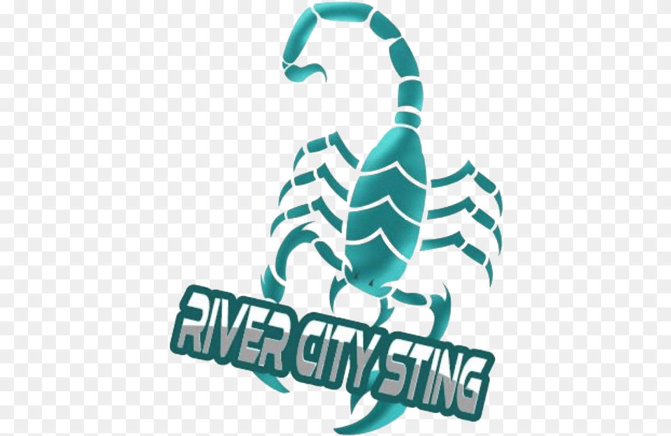 River City Sting Scorpion, Animal, Invertebrate, Spider Free Png Download
