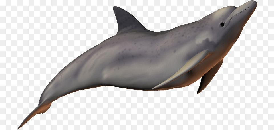 River Dolphin Baiji Bottlenose Dolphin River Dolphin, Animal, Mammal, Sea Life, Fish Png