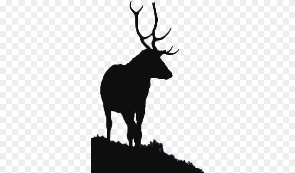 River Glass Strathglass Beauly Firth Red Deer Elk Aesthetic Moose, Animal, Mammal, Wildlife, Person Free Png Download