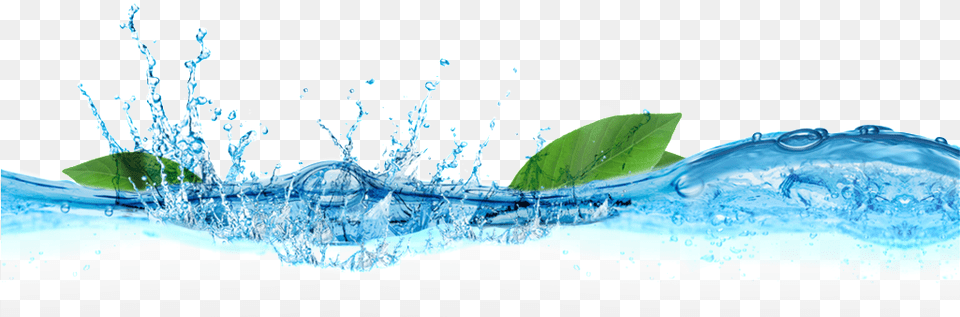 River Water Psd Water, Leaf, Plant, Droplet, Nature Free Transparent Png