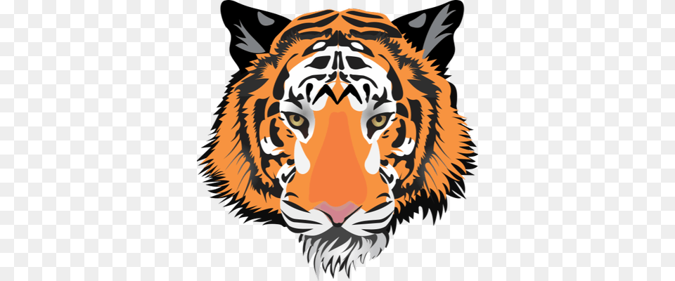 Riverside Tigers White Tiger Face Throw Blanket, Animal, Mammal, Wildlife, Head Png