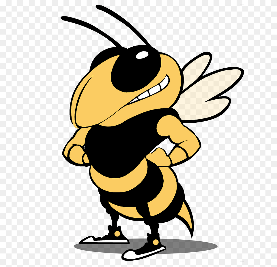 Riverview Grade School, Animal, Bee, Insect, Invertebrate Free Transparent Png