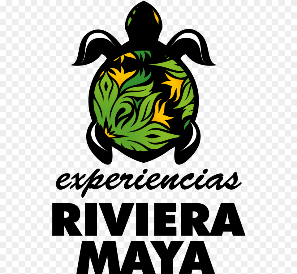 Riviera Maya, Green, Leaf, Plant, Animal Png