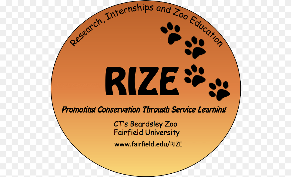 Rize Dot, Disk, Advertisement, Poster Free Png Download