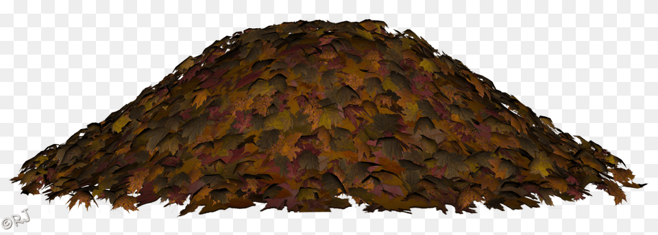 Rjs Bits Bobs Props Pieces Autumn Leaves Leaf Piles, Plant, Tree, Nature, Outdoors Png