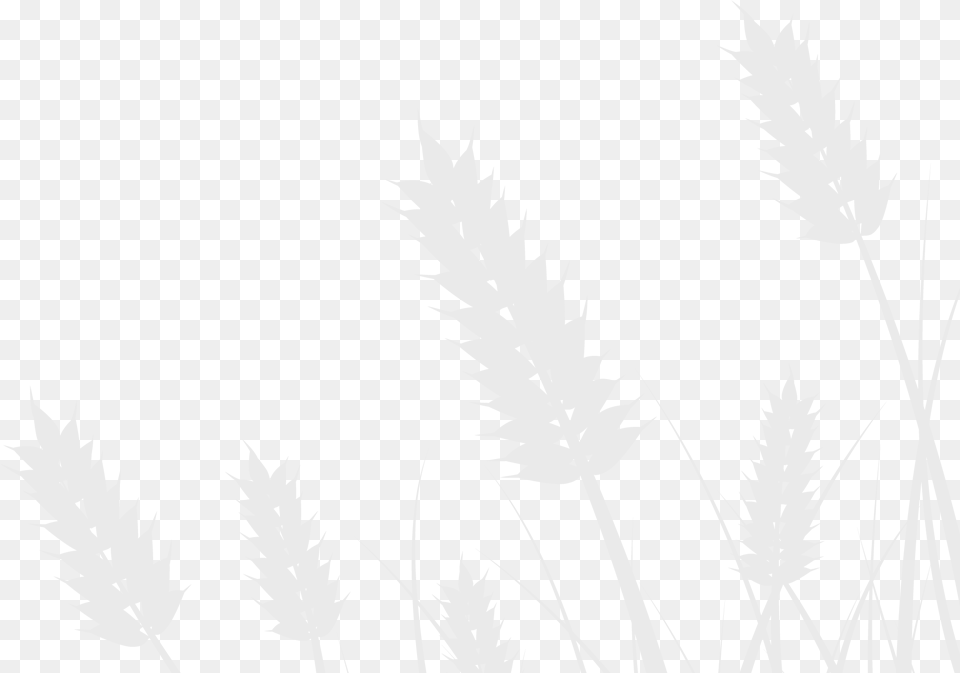 Rkv R Noun To Be Made Well White Fields Foundation, Grass, Leaf, Plant, Silhouette Free Png Download