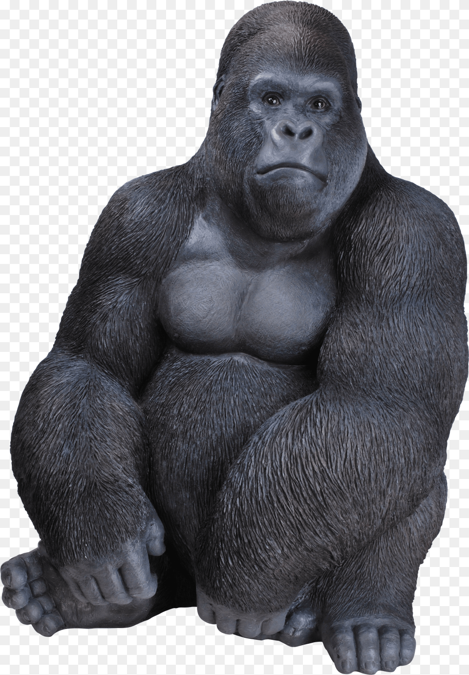 Rl Sitting Gorilla D Free Png Download