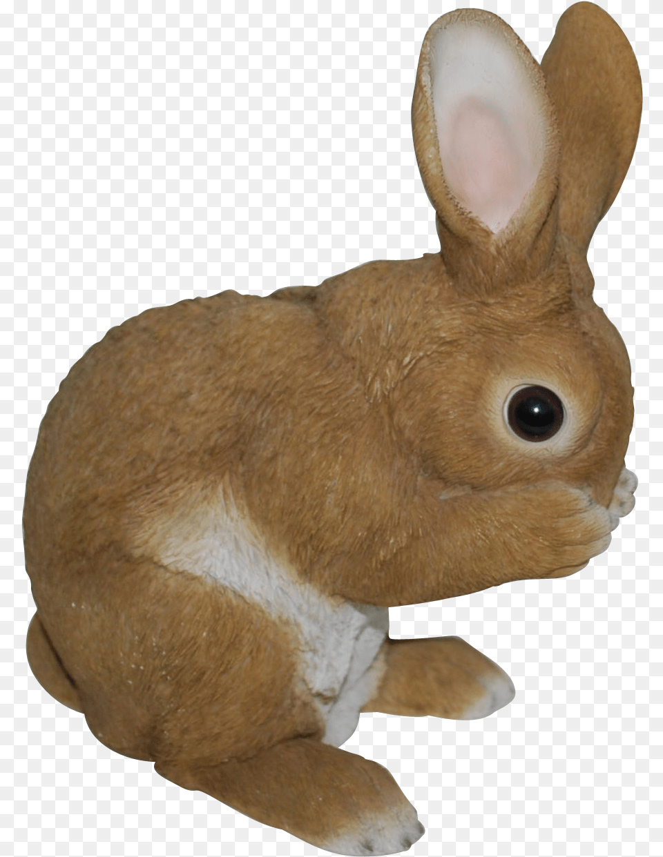 Rl Standing Rabbits D Vivid Arts, Animal, Mammal, Rabbit, Hare Png Image