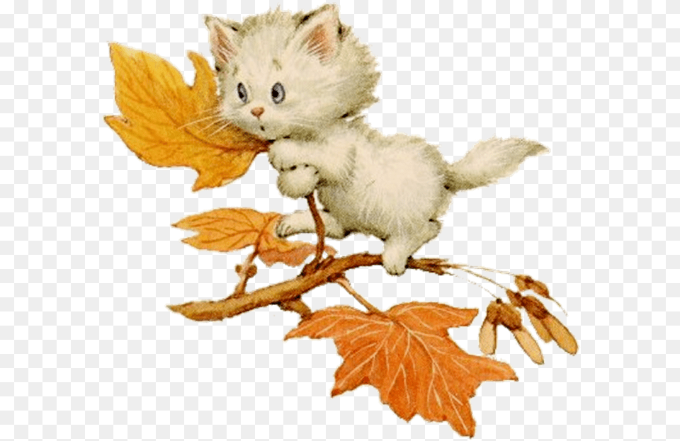 Rm Kitten In Tree Kitten, Animal, Cat, Leaf, Mammal Png Image
