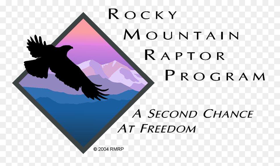 Rmrp Clear Logo Dead By Daylight For The People, Animal, Bird, Blackbird Png Image