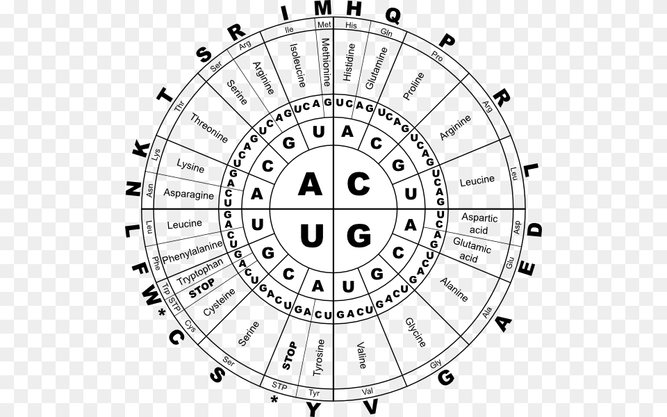 Rna Genetic Code, Number, Symbol, Text Png