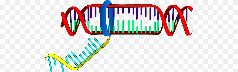 Rna Transcription Blank Clip Art, Coil, Spiral, Dynamite, Weapon Free Png Download