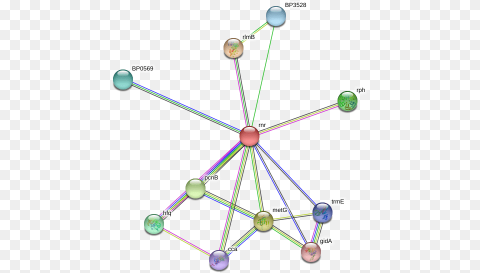 Rnr Protein Circle, Chandelier, Lamp, Network, Nature Free Png Download