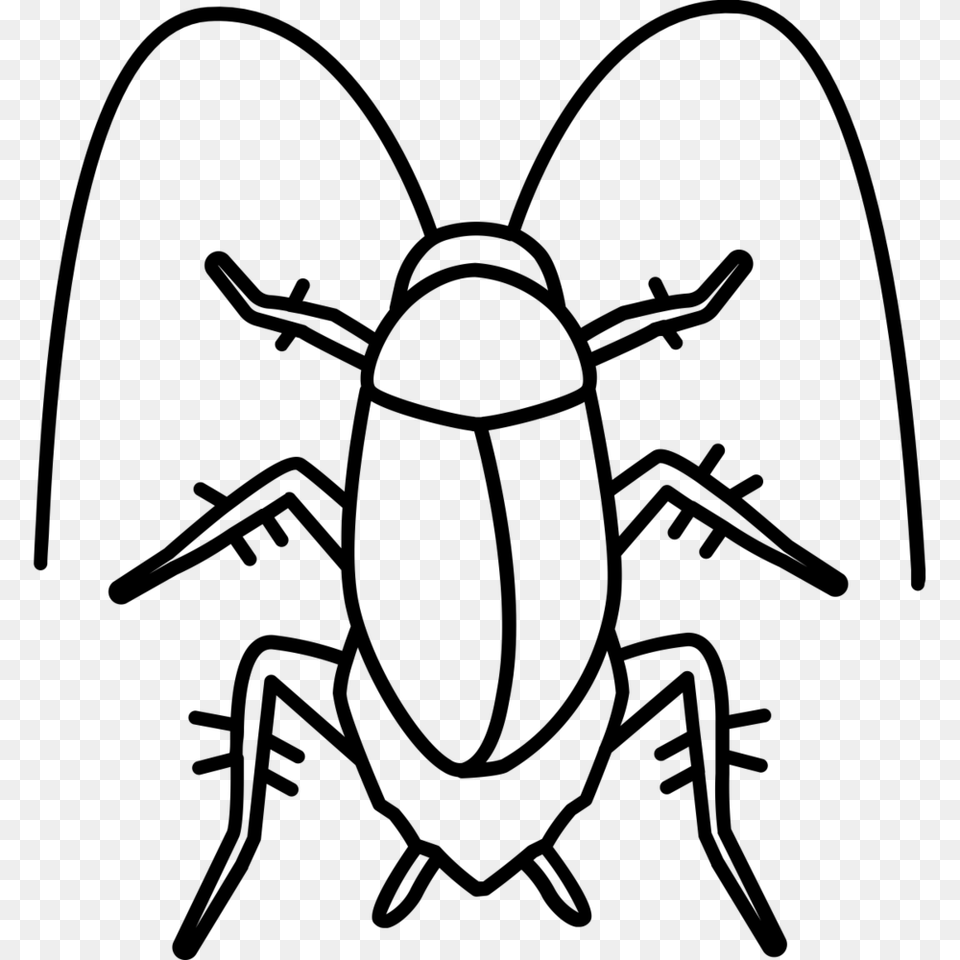 Roach Control Iron Mantis Pest Control, Gray Free Png