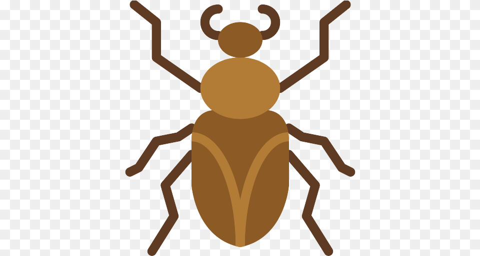 Roach Icons And Graphics Weevil, Animal, Person Png Image