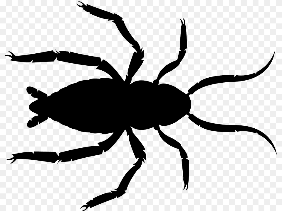 Roach Silhouette, Animal, Invertebrate, Spider Free Png Download