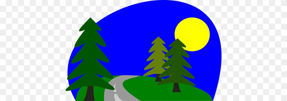 Road Plant, Tree, Fir, Conifer Free Transparent Png