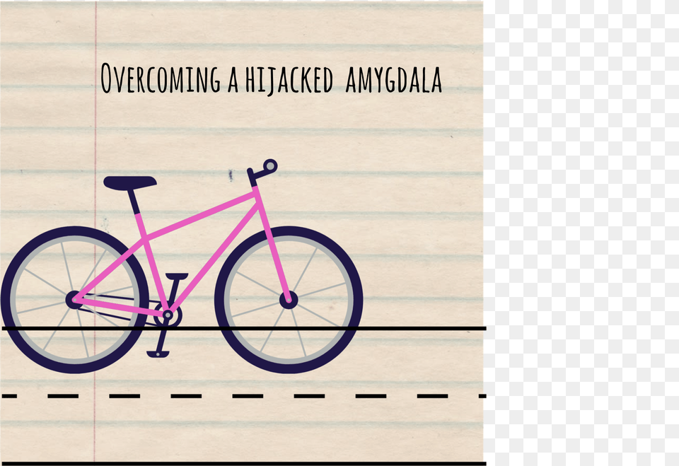 Road Bicycle, Transportation, Vehicle, Machine, Wheel Png