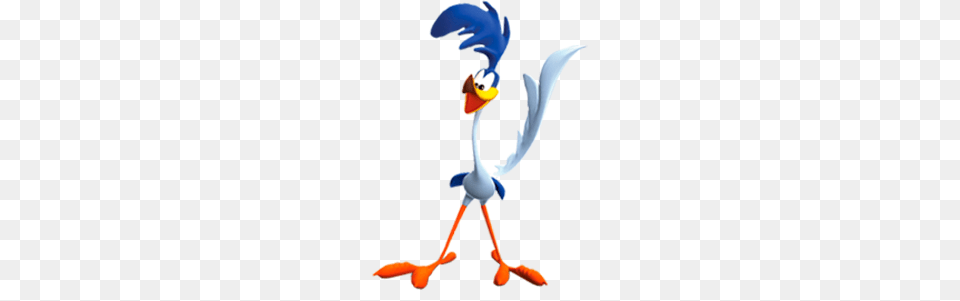 Road Runner, Animal, Beak, Bird, Waterfowl Png