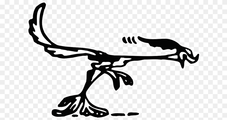 Road Runner, Stencil Free Png