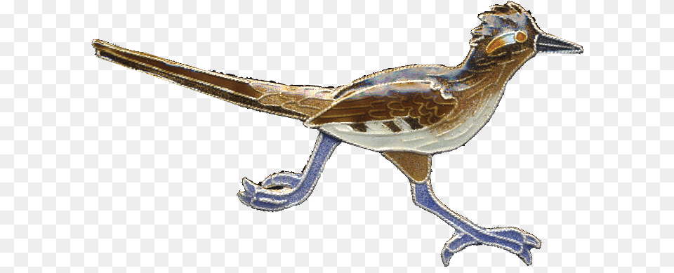 Road Runner Bird Transparent Transparent Roadrunner, Animal, Beak, Blade, Dagger Free Png