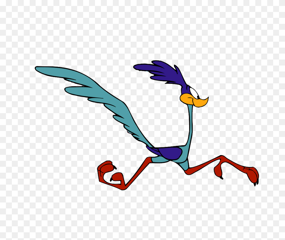 Road Runner Funny Picture Road Runner Funny Wallpaper, Animal, Bird, Flying, Cartoon Free Png Download