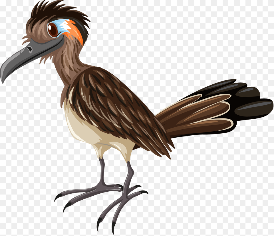 Road Runner Rv Park Fort Stockton Tx Home, Animal, Beak, Bird, Vulture Free Png Download