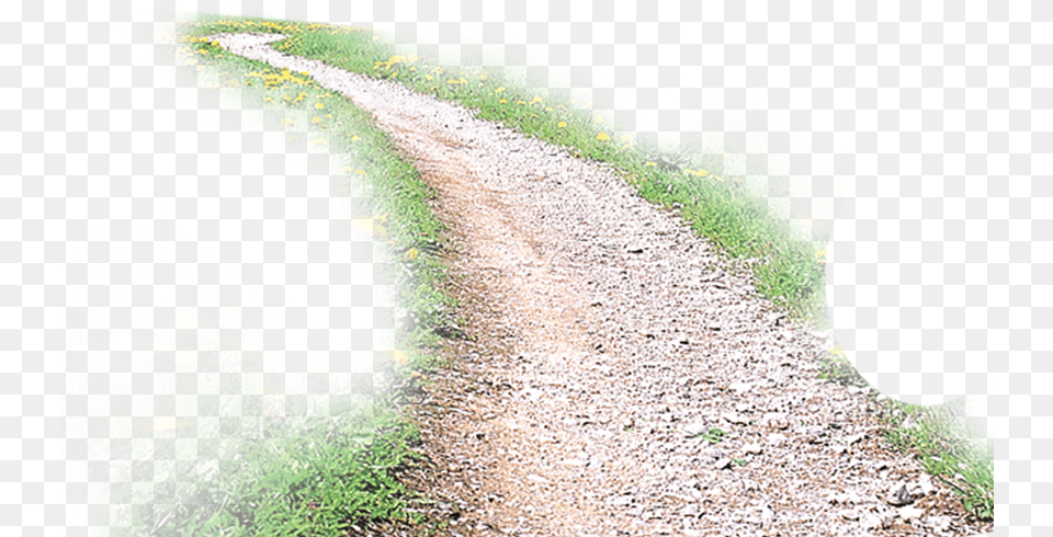 Road Transparent Background Clip Art Dirt Road, Gravel, Path, Walkway, Flower Png Image