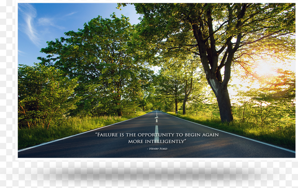Road Tree Backgrounds Hd, Freeway, Tarmac, Highway, Plant Free Transparent Png