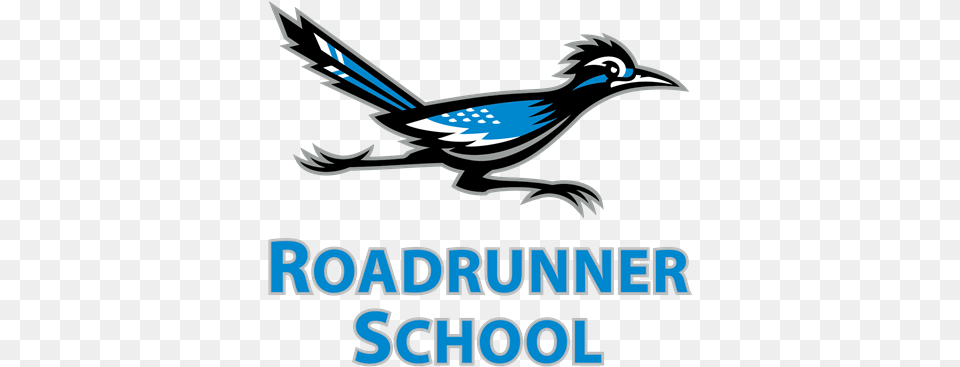 Roadrunner Alternative School Roadrunner School, Animal, Bird, Jay, Blue Jay Png