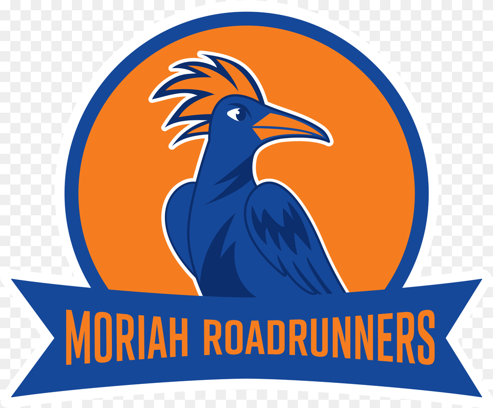 Roadrunner Basketball Clipart Illustration, Animal, Beak, Bird, Logo Free Png Download
