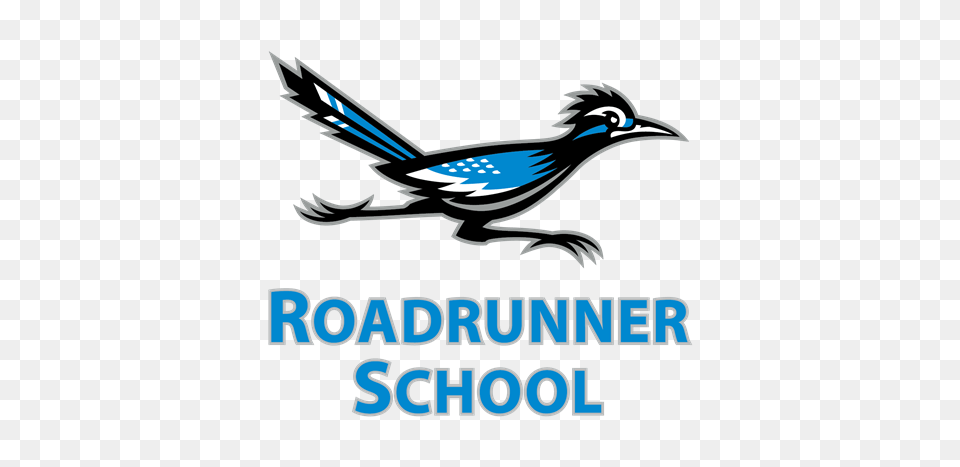 Roadrunner Clipart Mascot, Animal, Bird, Jay, Blue Jay Png Image